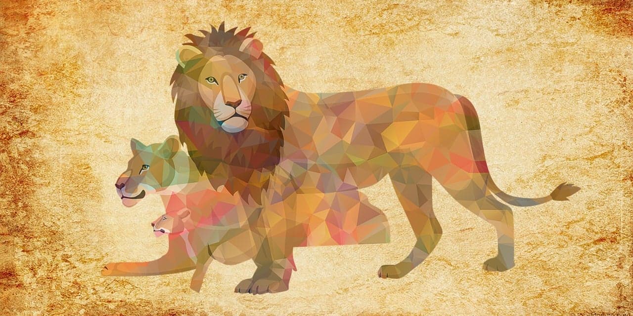 lion-3297303_1280