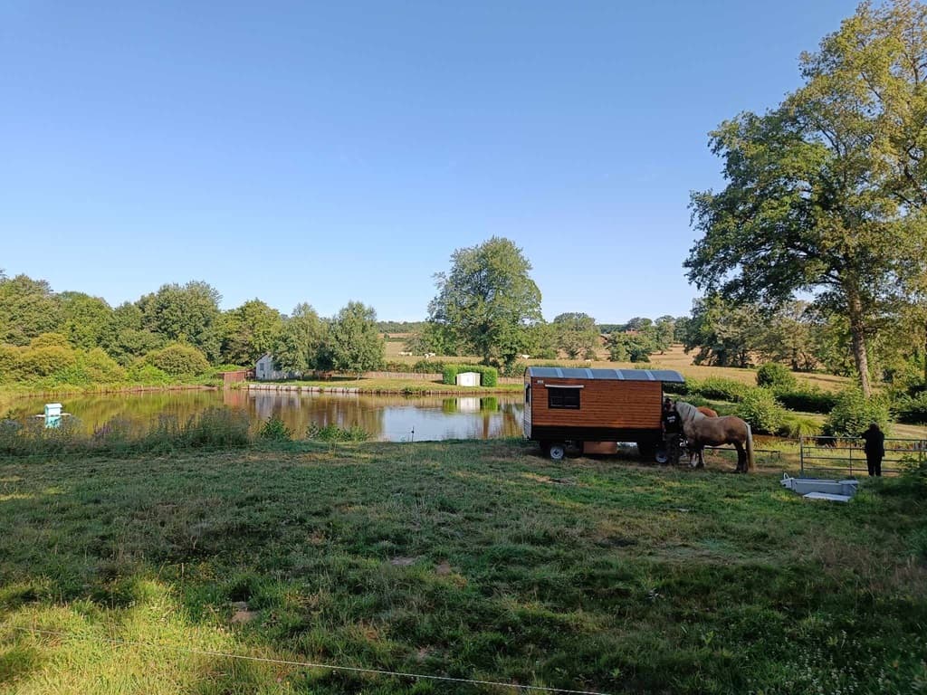 location-roulotte-avec-cheval