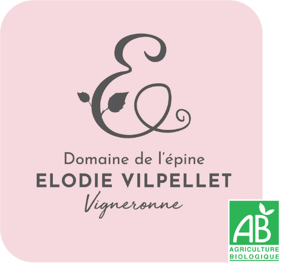 logo domaine