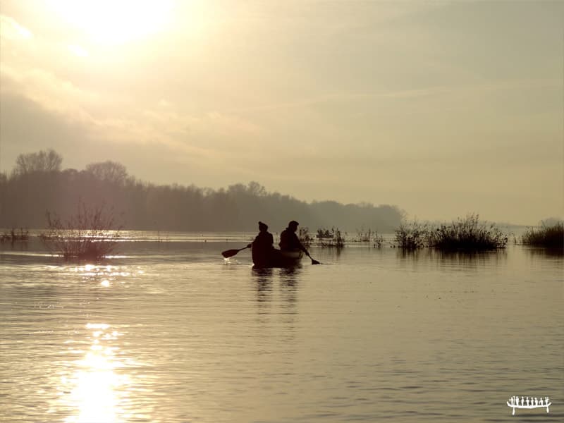 Loire Aventure Canoës