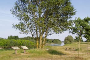 Beaulieu sur Loire - aire de pique-nique maimbray45