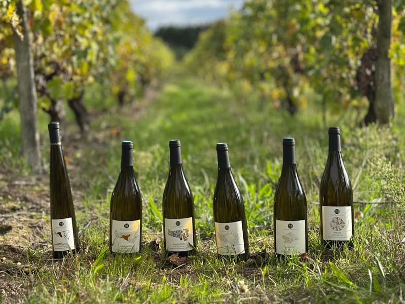 Maison Laudacius - Vins - Montlouis-sur-Loire