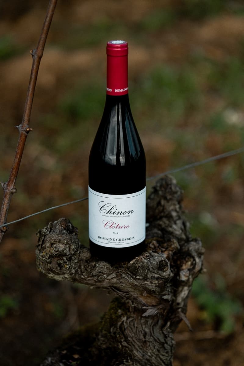 Panzoult - Domaine Grosbois - maison-vinepicure-2080