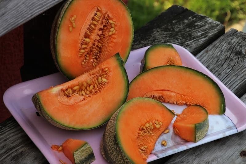 melon-g5d4931a1c_1280