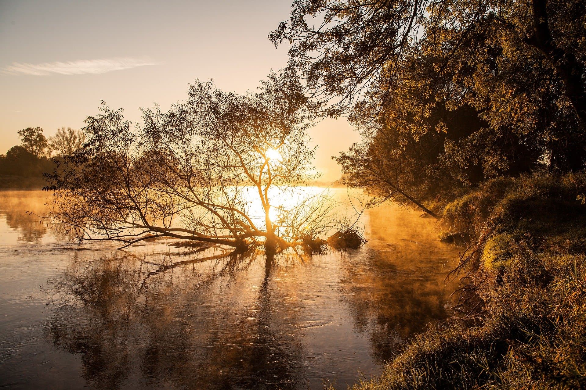 nature-3107213_1920