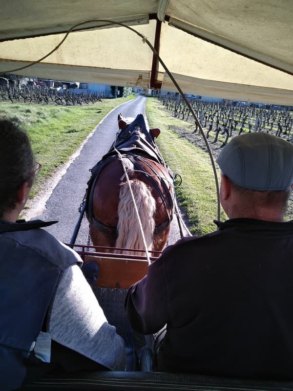 Domaine de la Noiraie