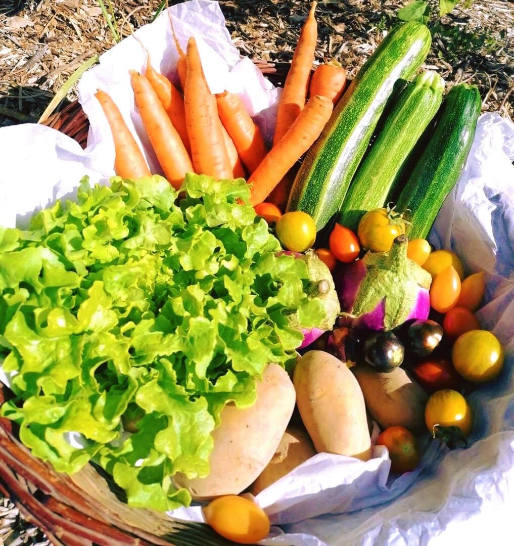 Panier de légumes