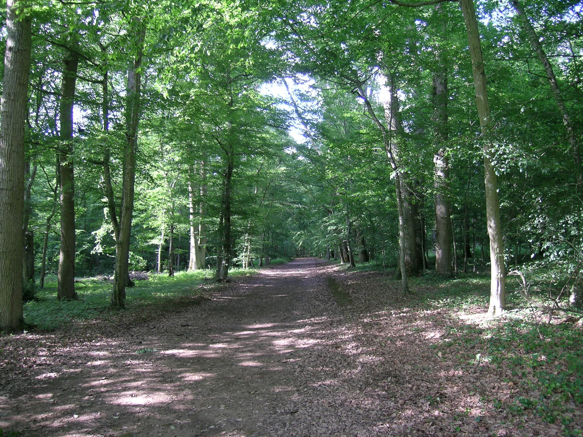 parc du château