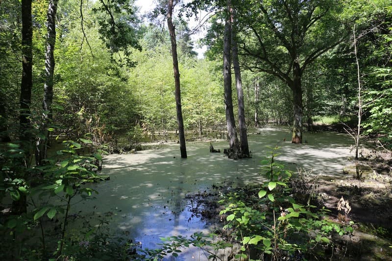 parc-ardon-les-dolines-de-limere-doline