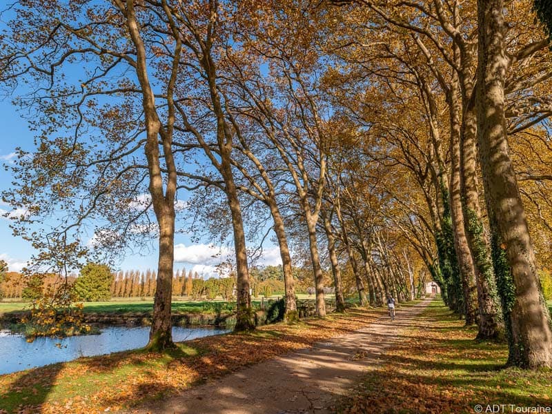 Parc de Richelieu - France