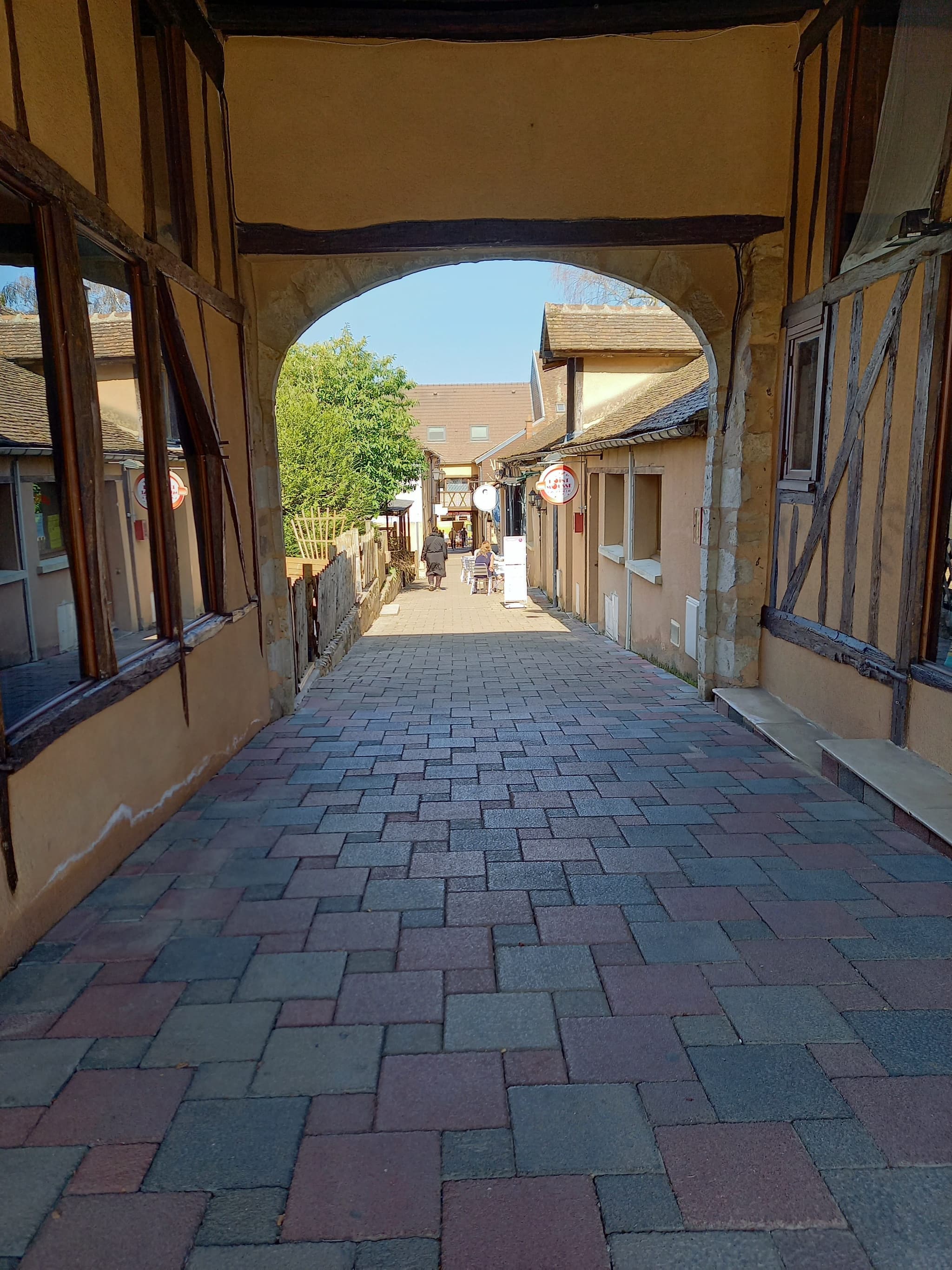 passage cygne
