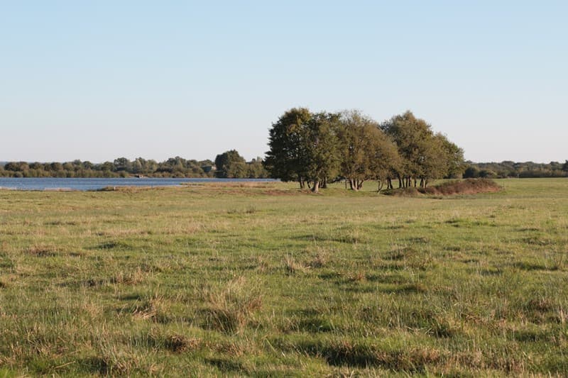paysage de brenne - RNR Massé-Foucault