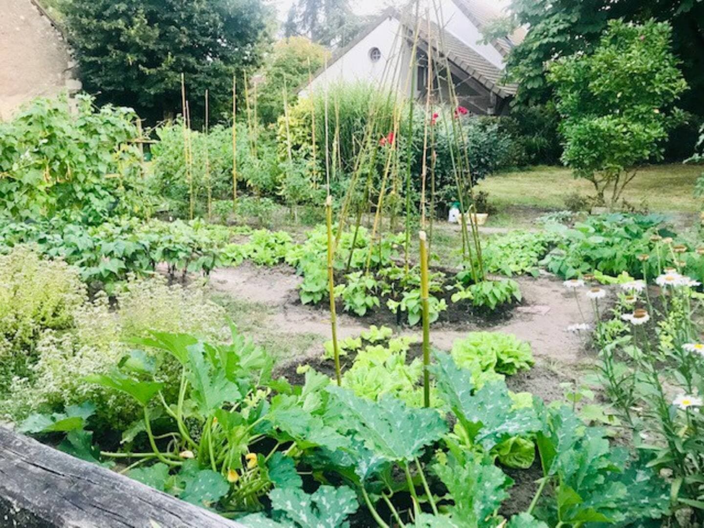Le potager