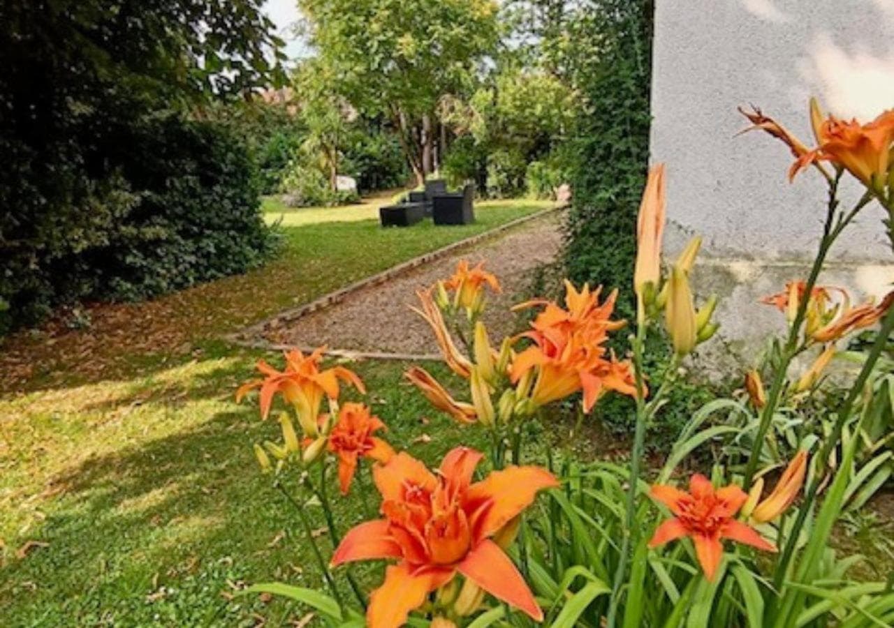 l'été au jardin