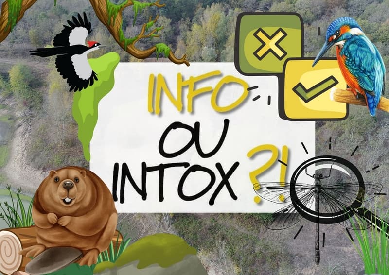 photo BL9 info ou intox