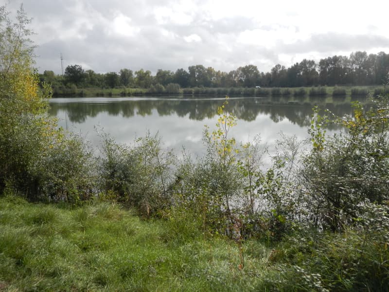 plan-d'eau