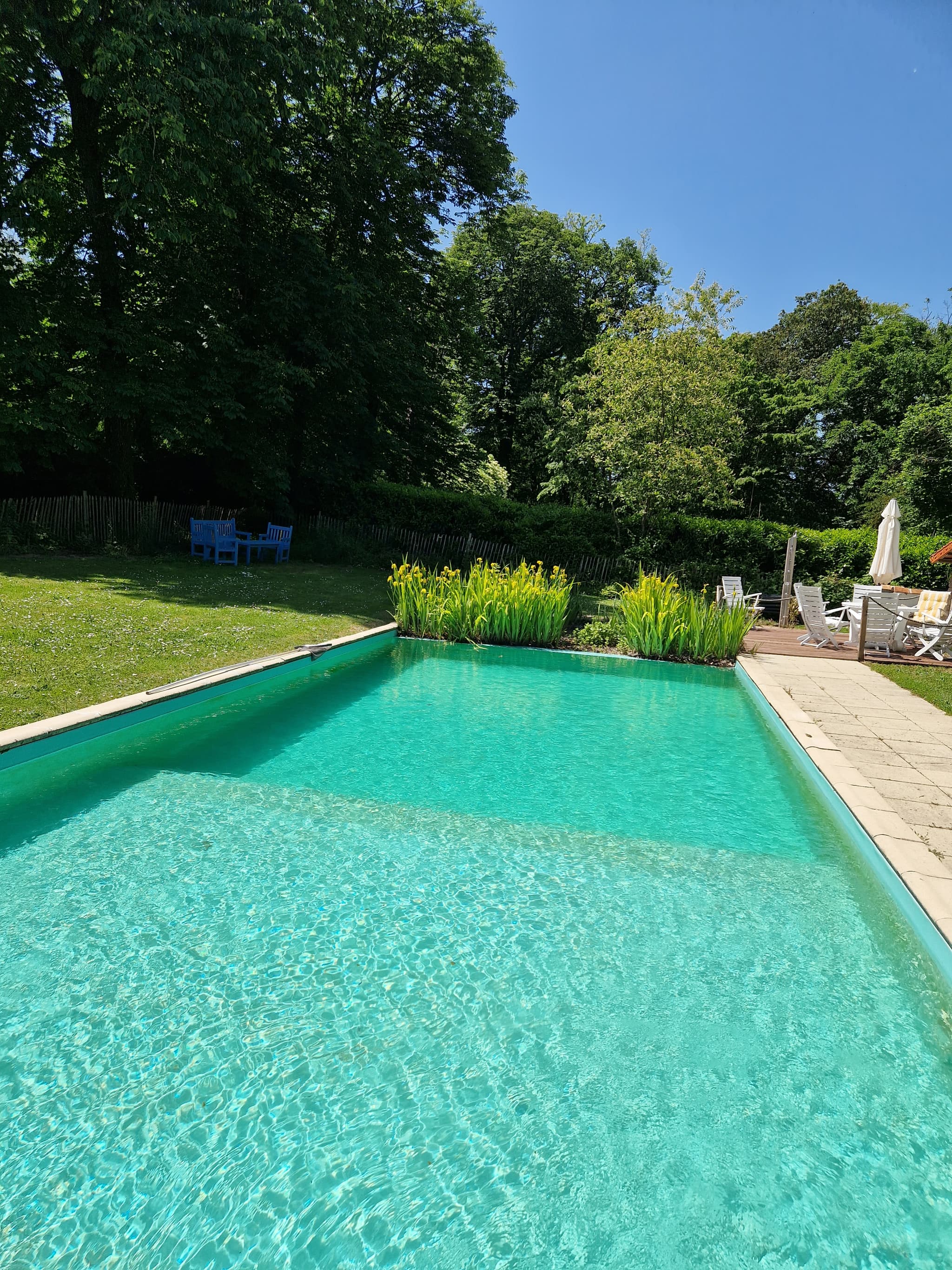 pool1