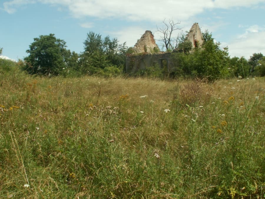prairie_maison_juil09