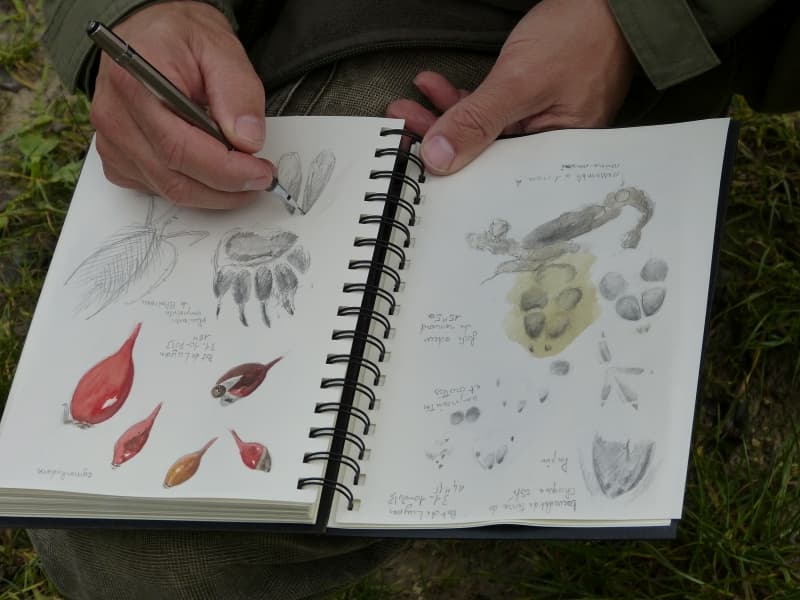randocroquis