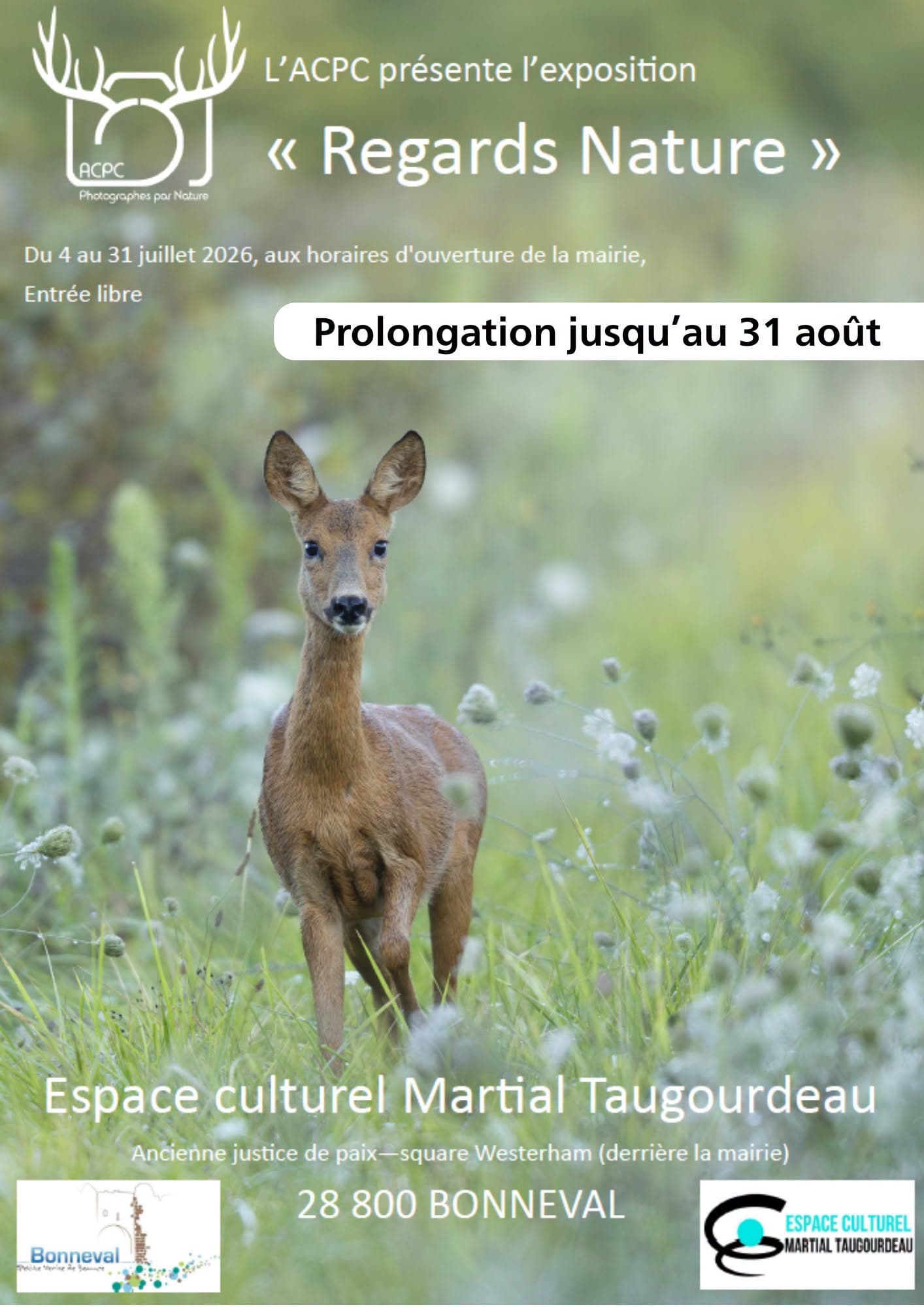 regard nature