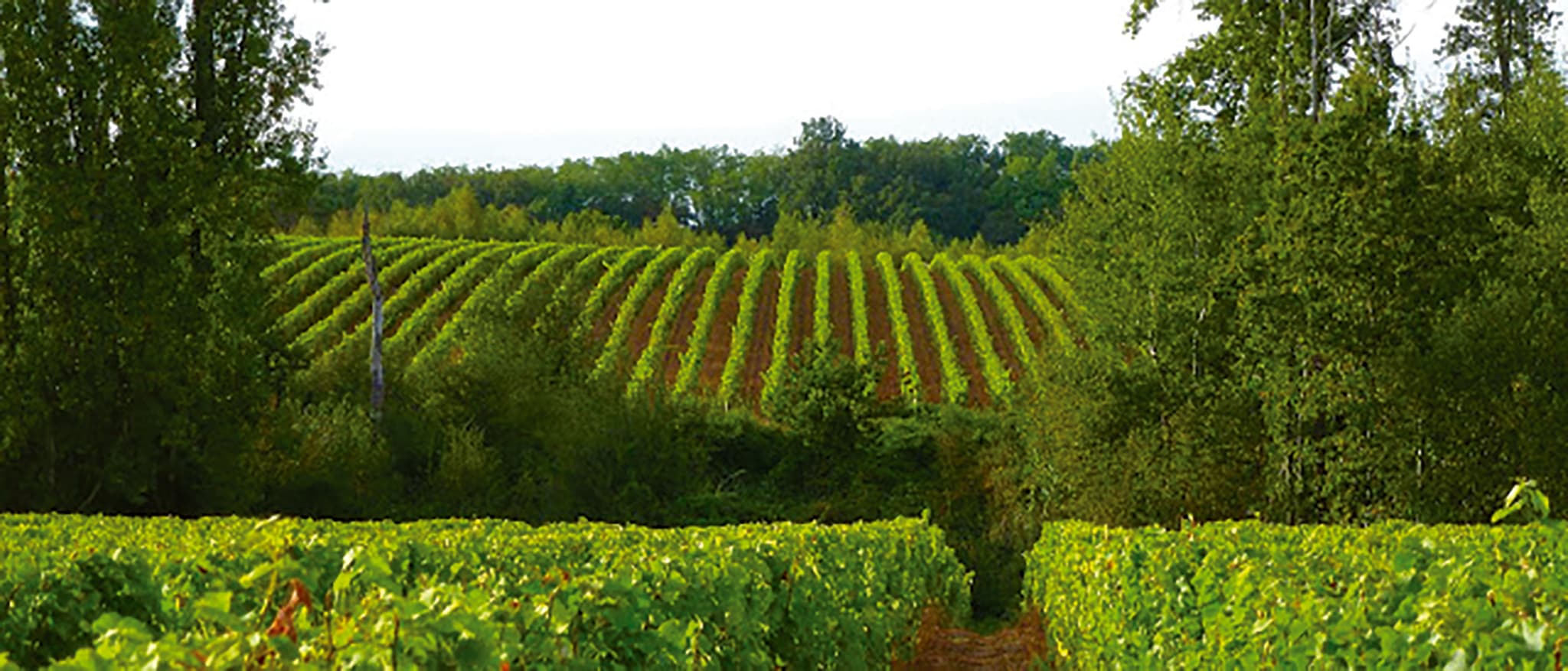 domaine_de_la_renaudie