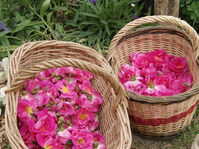 Les Jardins du Cabri
