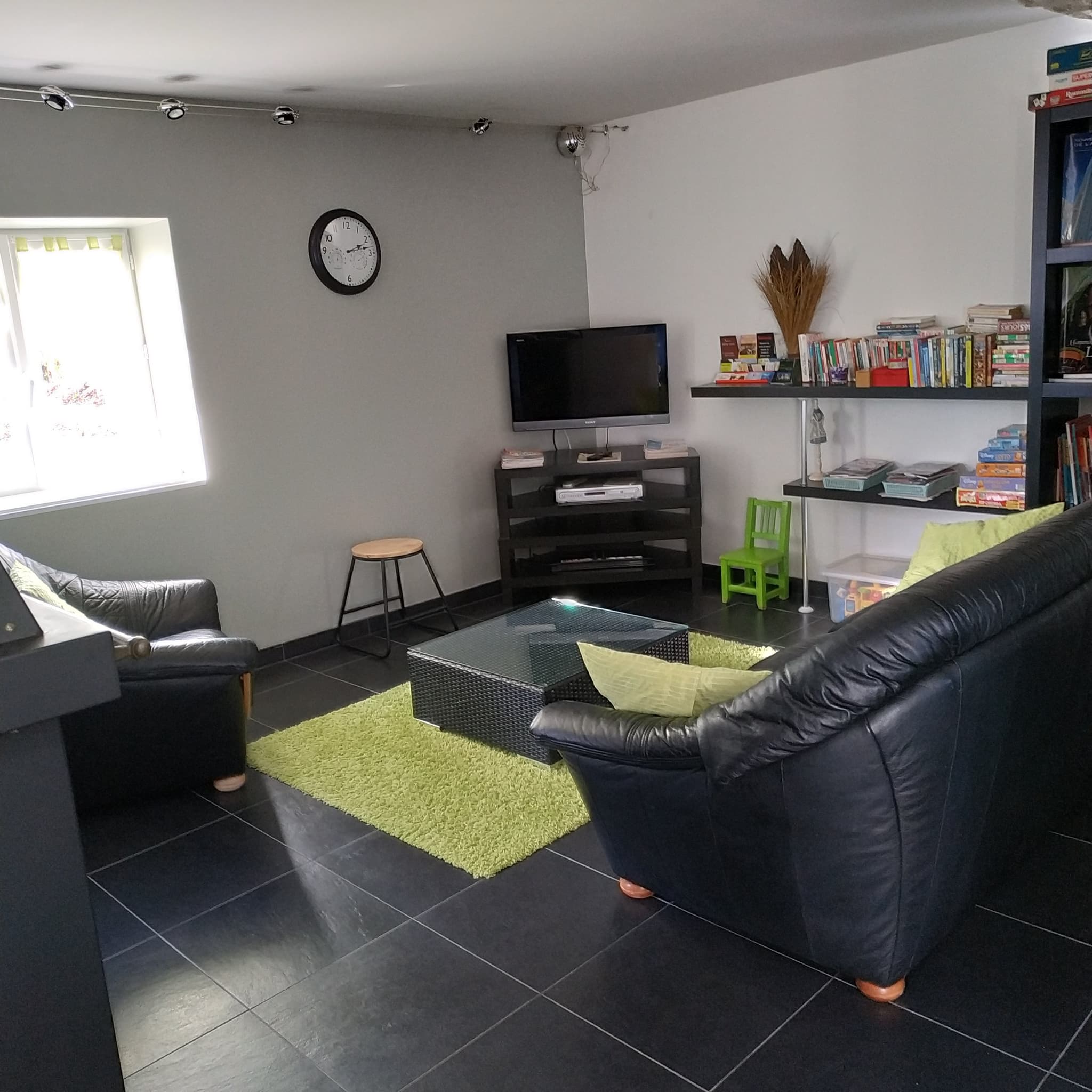 Dammarie en Puisaye -Gîte -salon