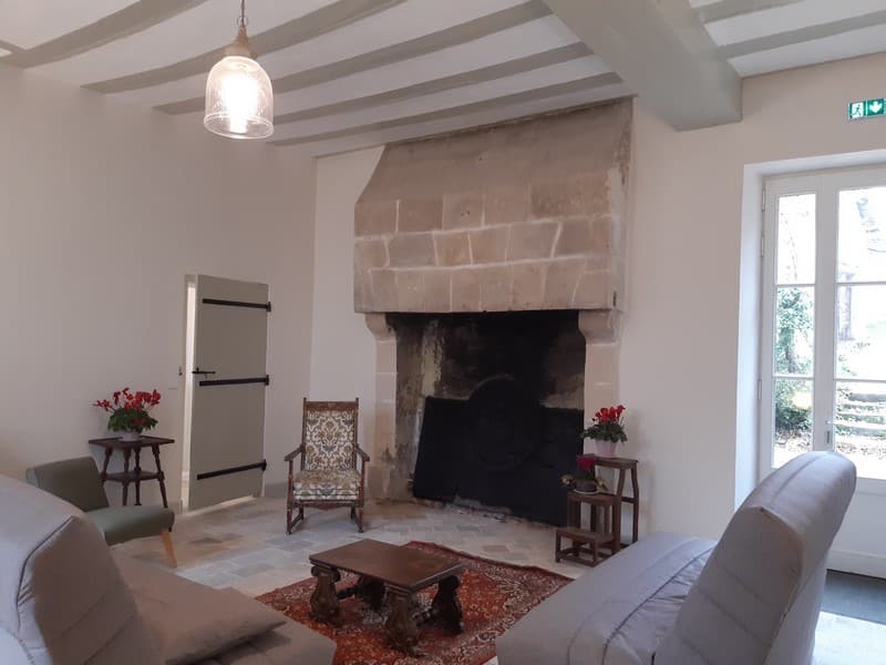 salon2- meuble-chateaudecharnizay-valdeloire