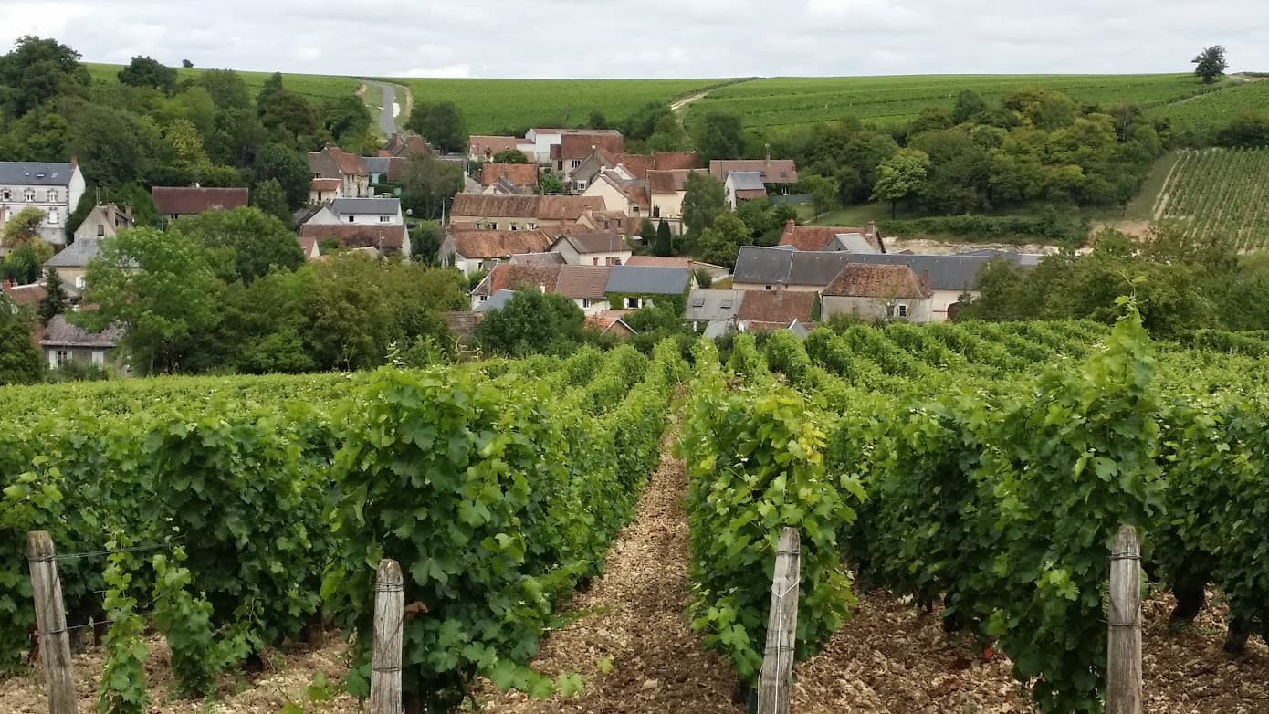 Domaine du Carrou