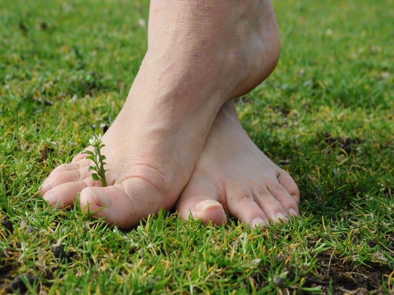 sentier-pieds-nues