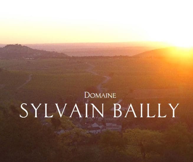 sylvain bailly