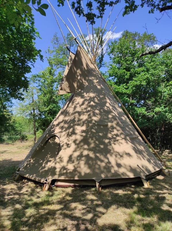 tipi n1