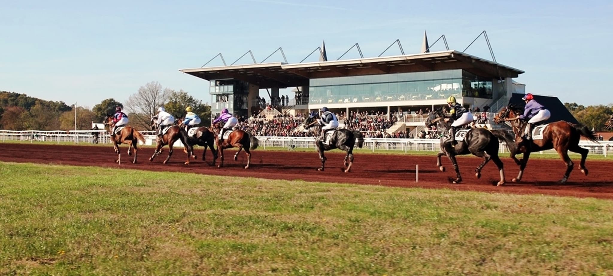 Courses hippiques
