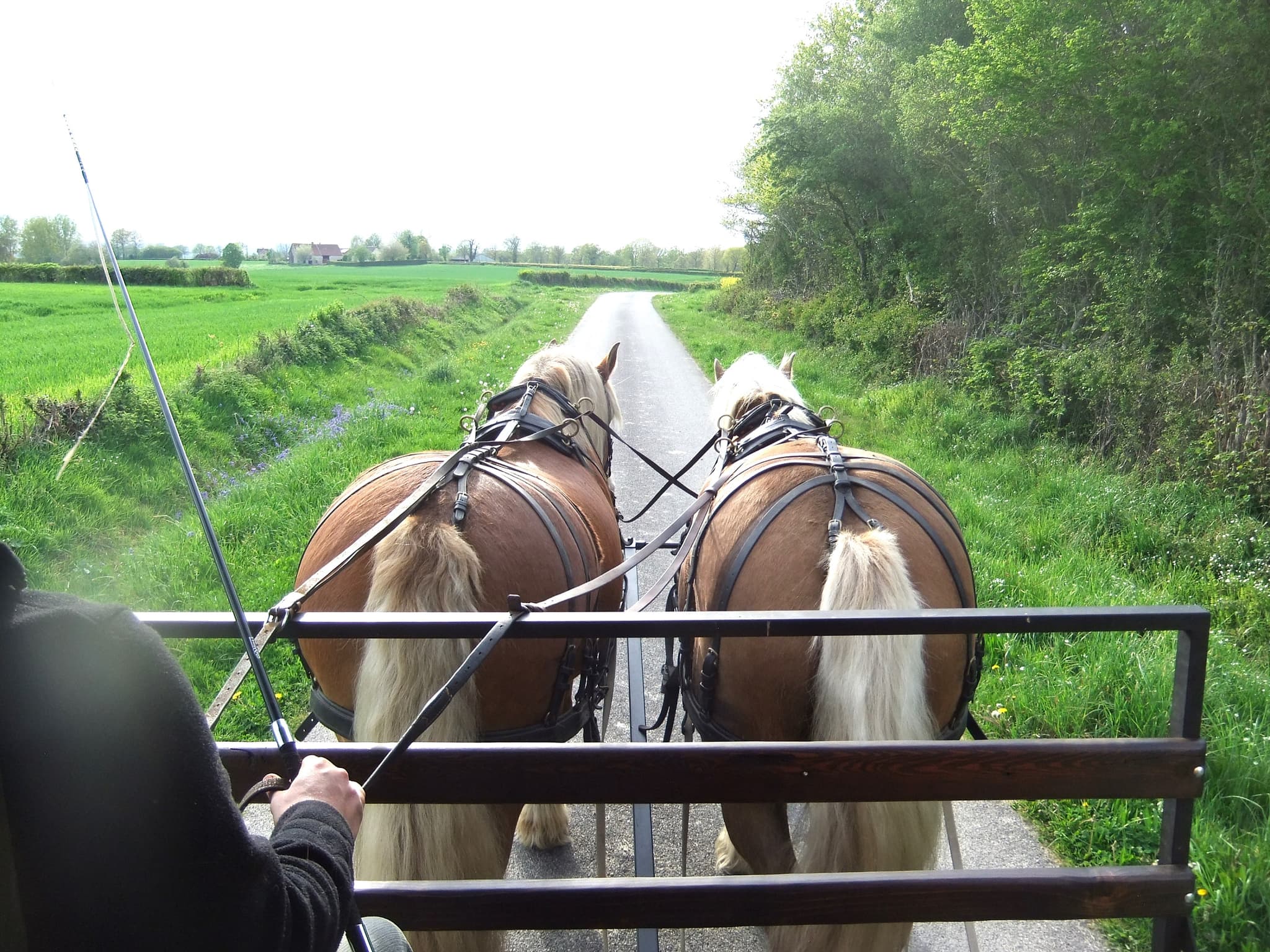 vacances en roulotte 03