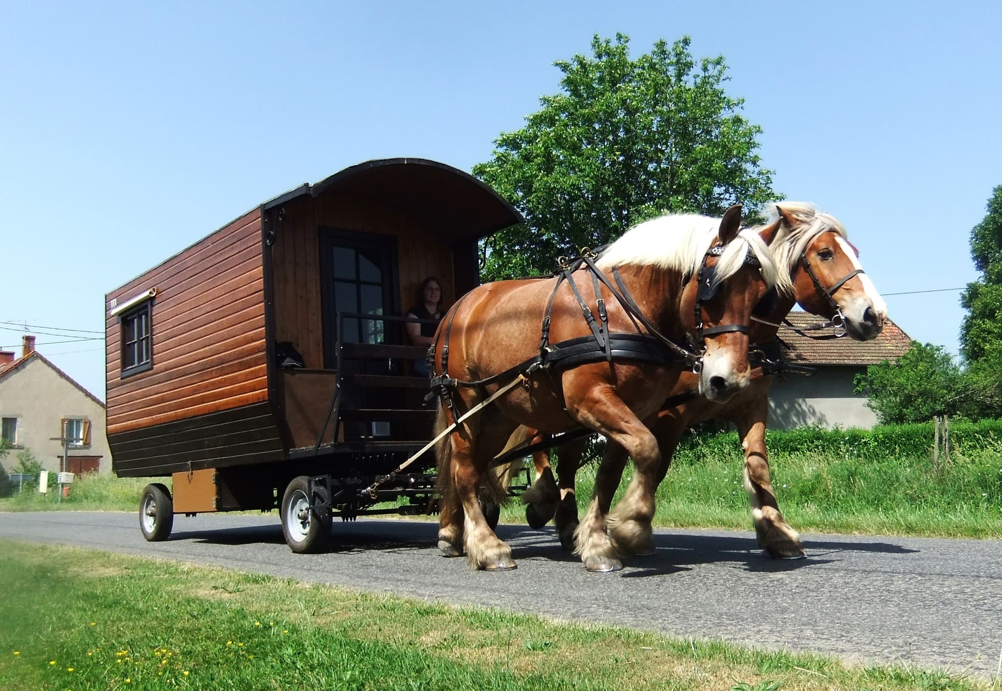 vacances en roulotte avec cheval berry