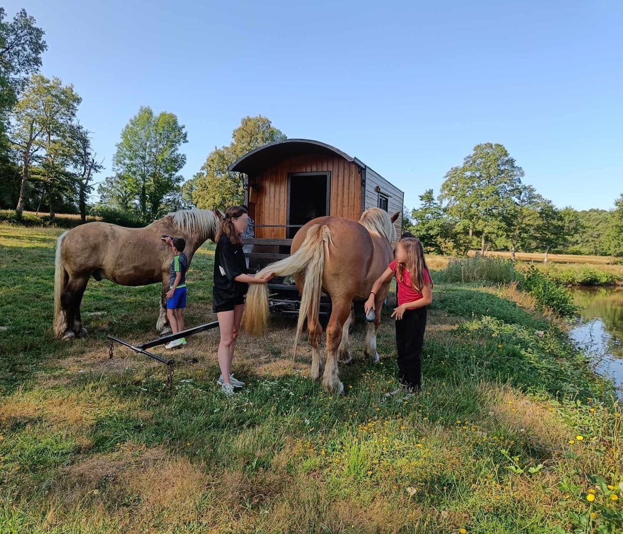 vacances-roulotte-berry-chevaux