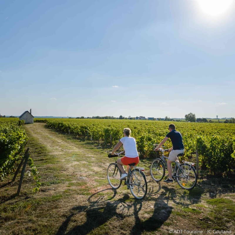 vigne vouvray
