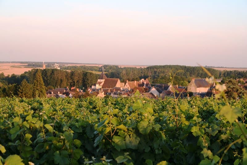 Vignoble Reuilly