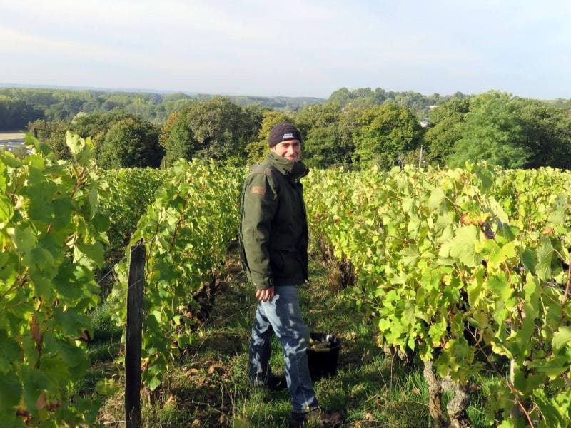 Vincent Carême - Le vignoble de Vernou - AOC Vouvray