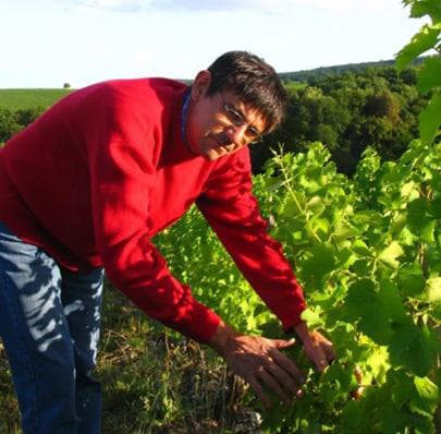 Les secrets du vigneron