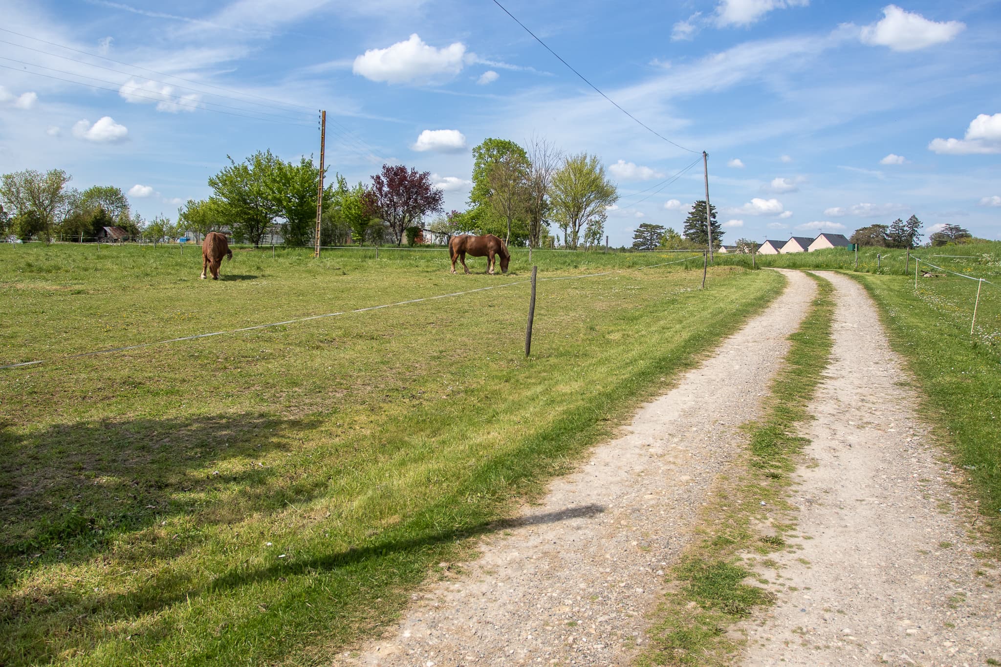 vuecampagne-lavaleriane-preuillysurclaise-valdeloire