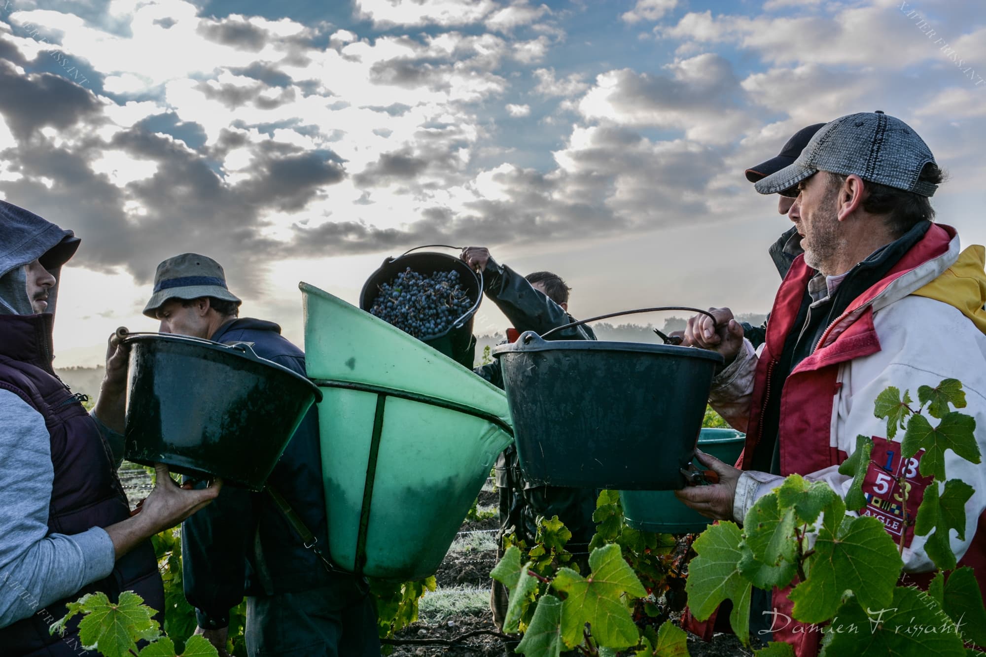 xavier_frissant_vigneron (11)