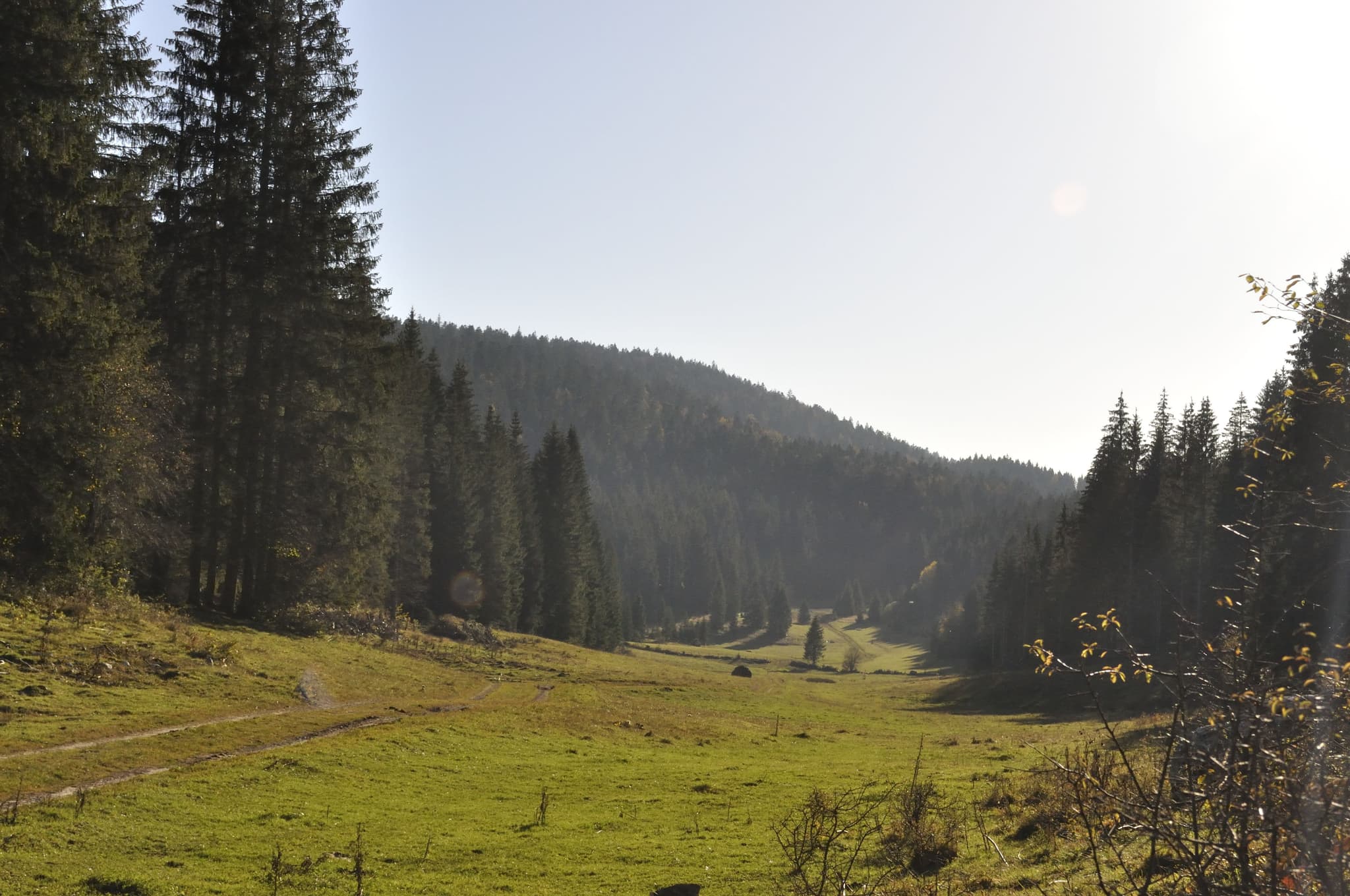 _DSC0088_00088