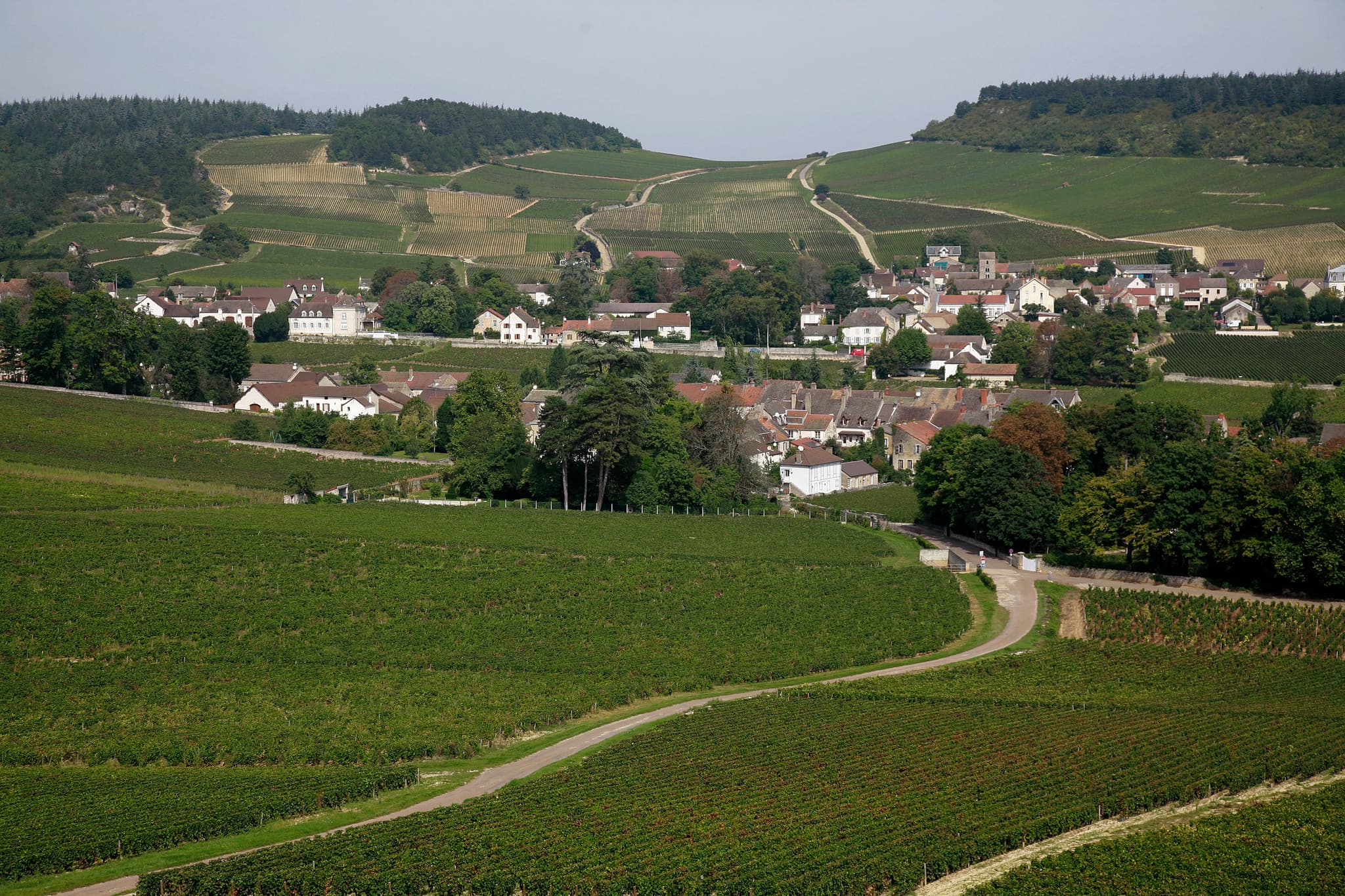 Vue de Mercurey