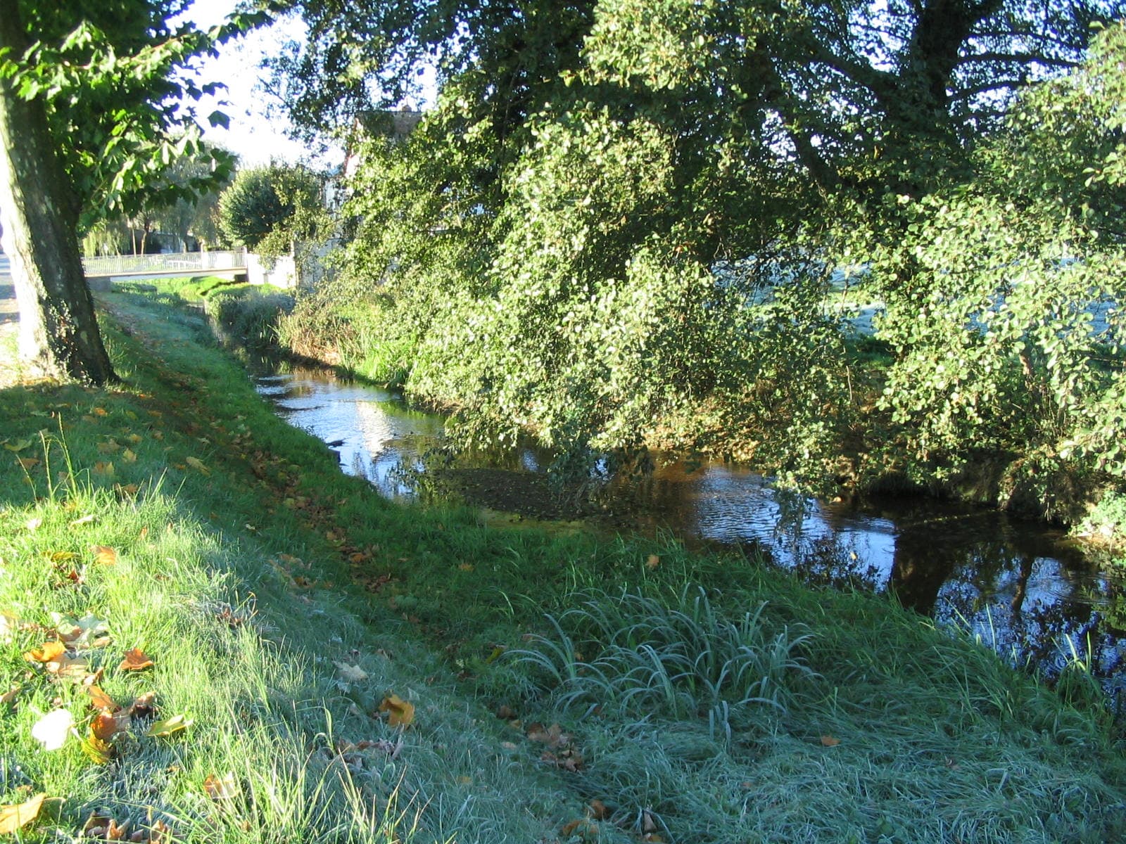 Rivière du Guignon
