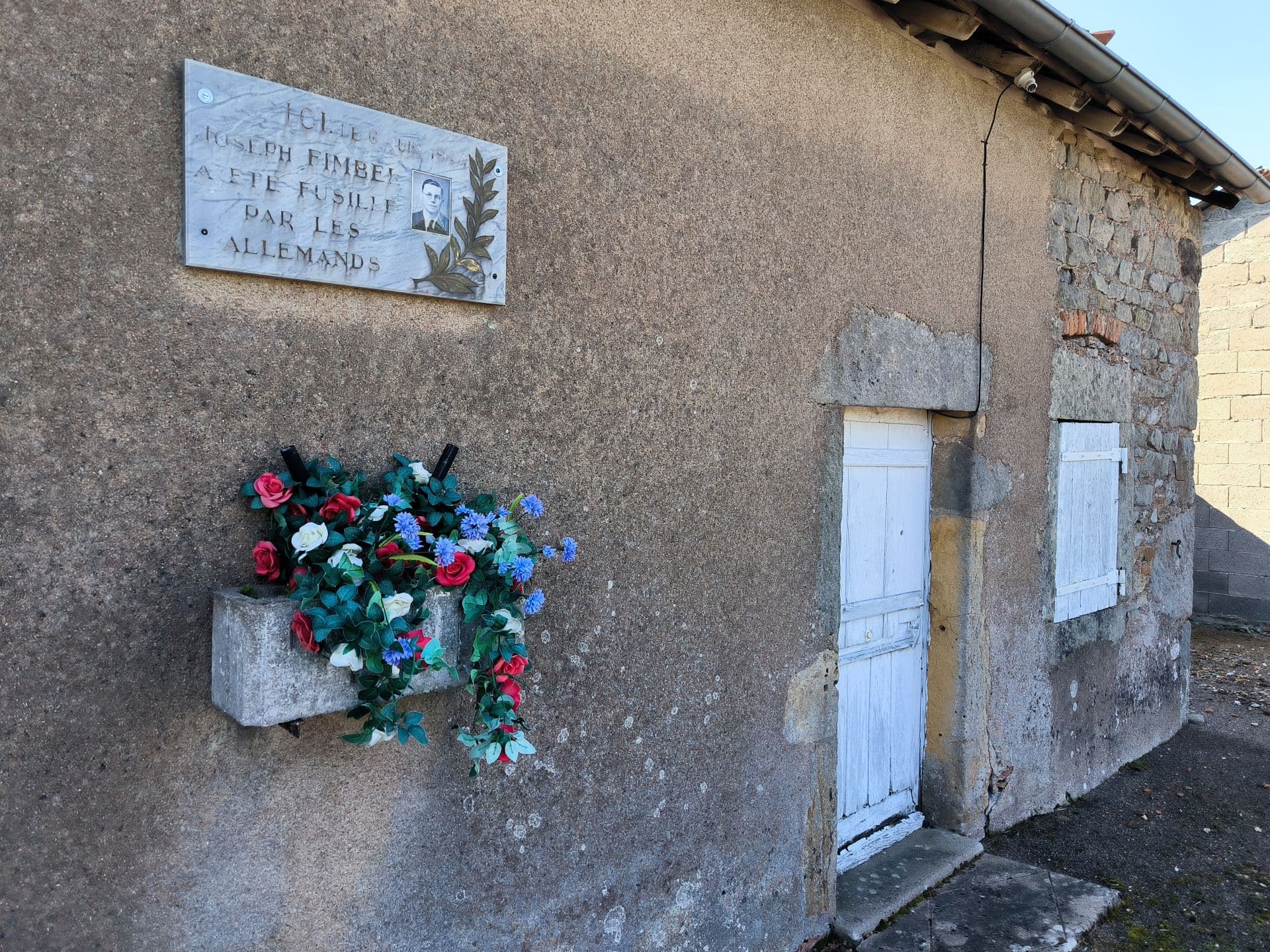Plaque Fimbel à Poisson