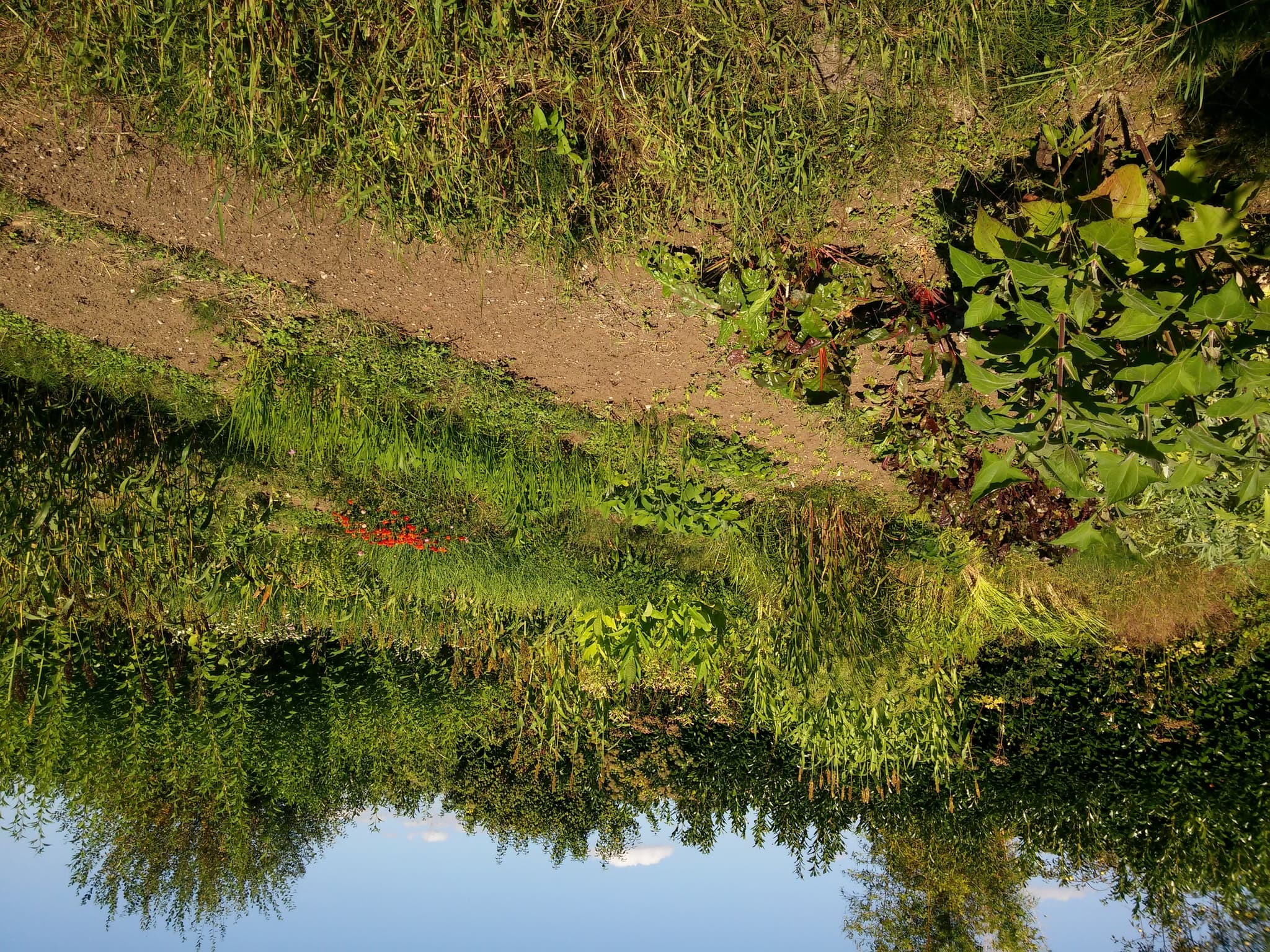 LE JARDIN DES 5 SENS