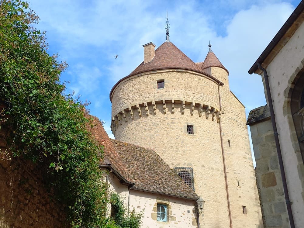 Tour de la Motte-Forte-2024