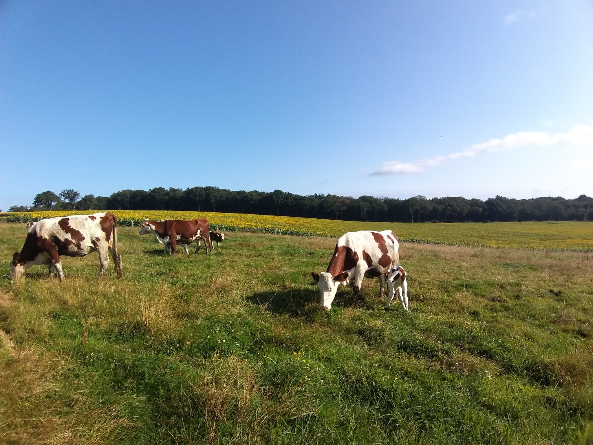 Autour de la ferme