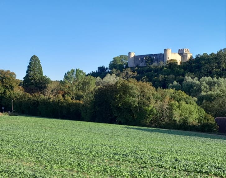 vue sur le château